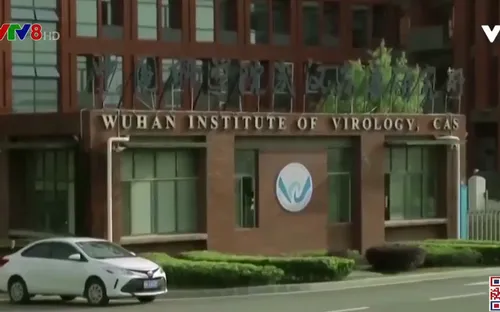 Trung Quốc phản bác chỉ trích về điều tra nguồn gốc SARS-CoV-2