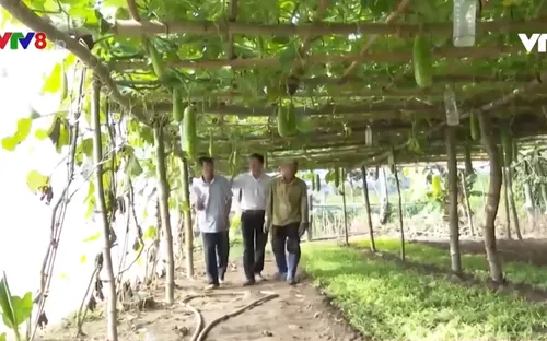 Rau an toàn - Hướng đi bền vững cho ngành nông nghiệp Kon Tum