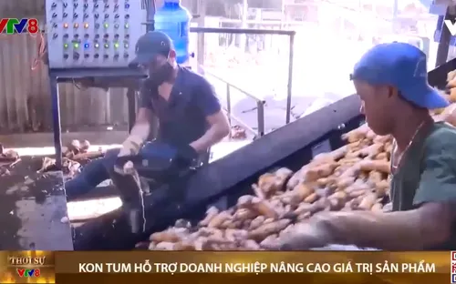 Kon Tum hỗ trợ doanh nghiệp nâng cao giá trị các sản phẩm