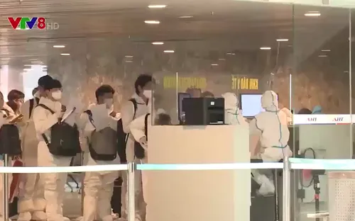 Đà Nẵng: Tăng cường chống dịch vận tải hàng không