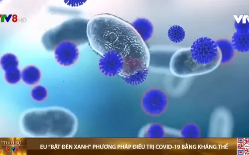 EU “bật đèn xanh” cho phương pháp điều trị COVID-19 bằng kháng thể