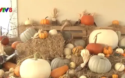 Lâm Đồng xây dựng thương hiệu du lịch canh nông