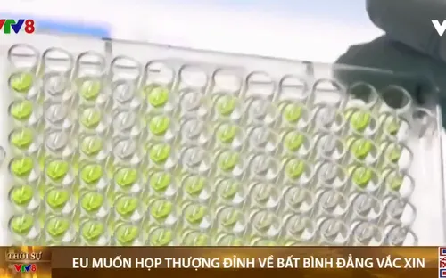 EU muốn họp thượng đỉnh về bất bình đẳng vaccine