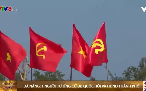 Đà Nẵng: 1 người tự ứng cử đại biểu Quốc hội và đại biểu HĐND thành phố