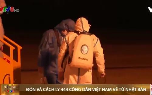Đà Nẵng đón và cách ly công dân Việt Nam từ Nhật Bản về nước