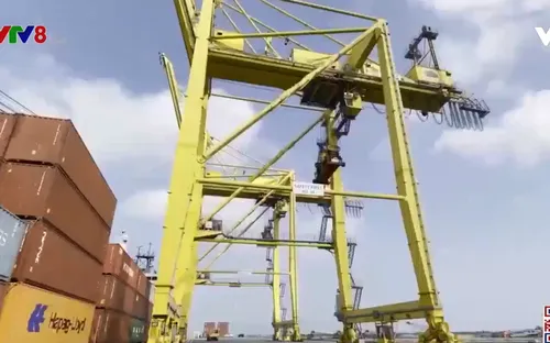 Cước vận tải biển vẫn neo cao