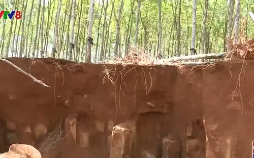 Gia Lai: "Đá tặc" phá nát ruộng đồng