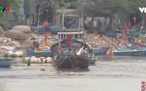 Quảng Ngãi: Nhiều cửa biển bị bồi lấp