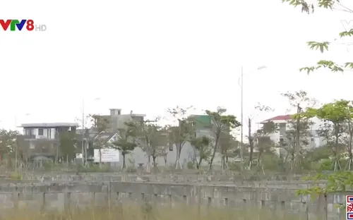 Điều hành kinh tế - Nhìn từ giá đất