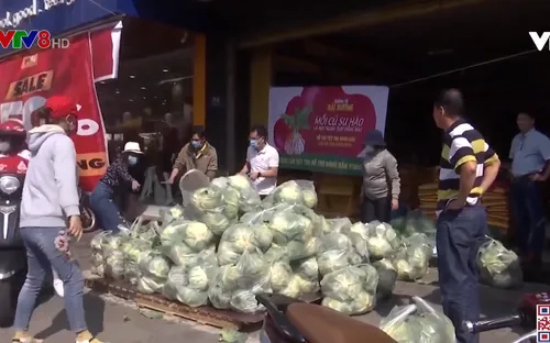 Đà Nẵng chia sẻ khó khăn cùng nông dân Hải Dương