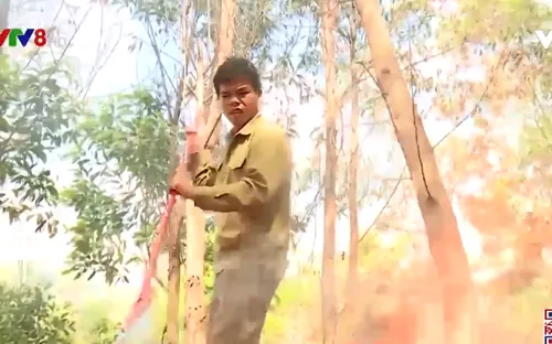 Đắk Lắk: Tăng cường công tác phòng chống cháy rừng mùa khô