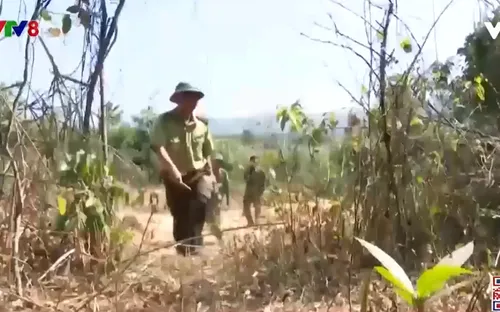 Kon Tum: Tăng cường bảo vệ rừng khu vực biên giới