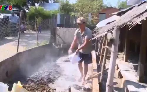 Phú Yên: Nguy cơ lây lan bệnh lở mồm long móng do người dân không khai báo