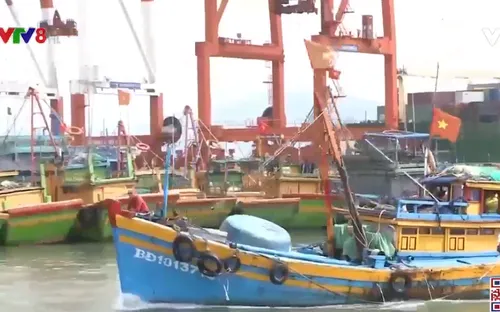 Bình Định: Khắc phục tình trạng nhiều tàu cá mất tín hiệu giám sát hành trình