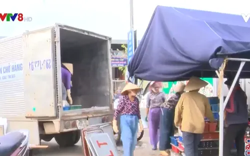 Thanh Hoá cần sớm lắp đặt thiết bị giám sát hành trình cho tàu cá