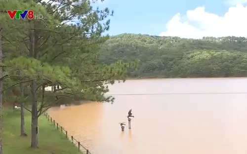 Cảnh báo ô nhiễm nguồn cung cấp nước sạch cho Đà Lạt