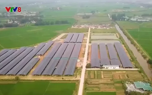 Hà Tĩnh:  Doanh nghiệp xây dựng trang trại trái phép