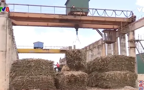 Liên kết sản xuất nông nghiệp, nông dân yên tâm hơn