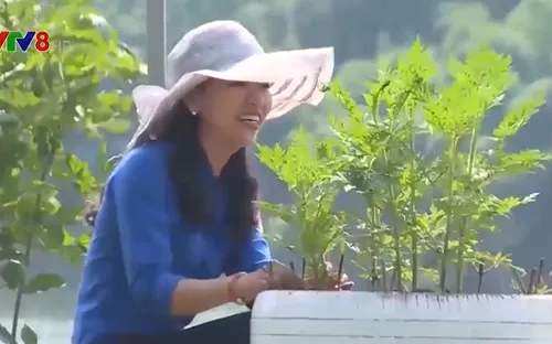 Sức trẻ trên những công trình thanh niên