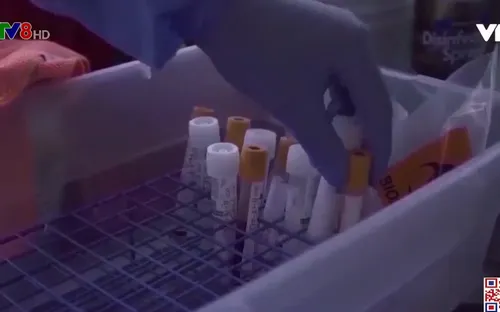 CDC cảnh báo mọi nỗ lực phòng COVID-19 của Mỹ có thể bị biến thể virus xoá sổ