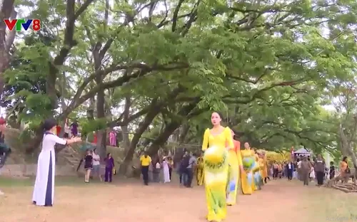 Lễ hội độc đáo trong lòng thành phố hoa vàng