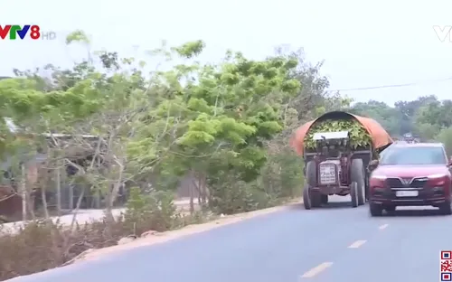 Gia Lai: Khai giảng lớp dạy máy kéo cho vùng đồng bào dân tộc thiểu số