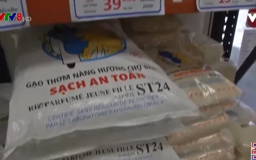 Gạo ST24 của Việt Nam được bán tại hầu hết các nước châu Âu