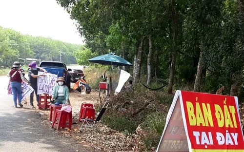 Nhiều người gom đất, phân lô bất hợp pháp