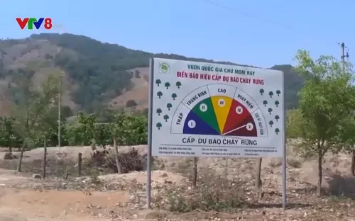 Kon Tum: Cảnh báo cháy rừng cấp cực kỳ nguy hiểm