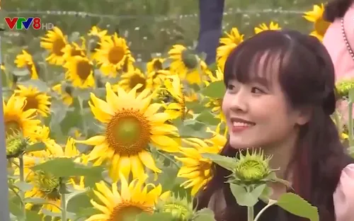 Quảng Bình: Hiệu quả mô hình nông nghiệp kết hợp du lịch