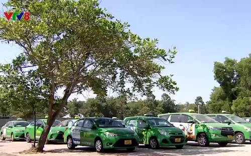 Dừng một số loại hình vận chuyển khách và hàng hóa