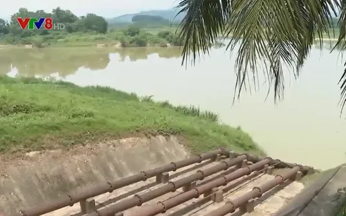 Nghệ An: Thiếu nước tưới Hè - Thu tại các vùng dọc sông Lam