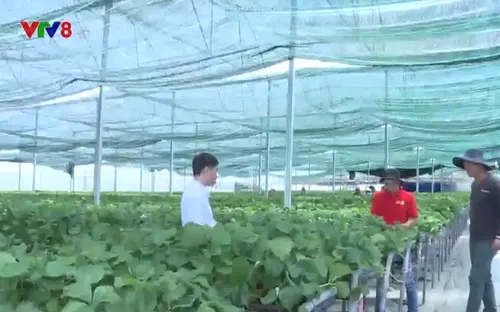 Lâm Đồng: Xử lý tình trạng xây nhà trên đất lâm nghiệp