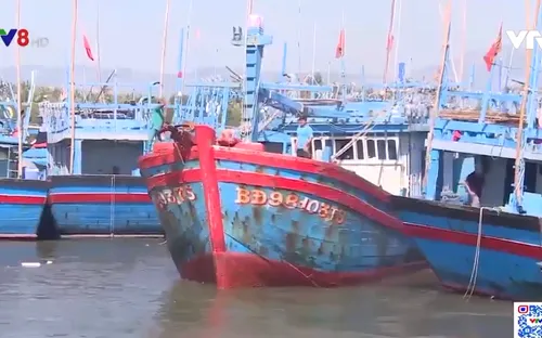 Kiểm soát mất tín hiệu thiết bị giám sát hành trình tàu cá