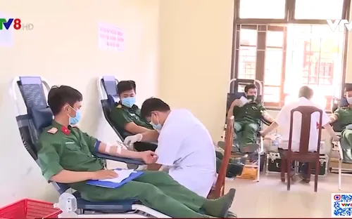 Những giọt máu nghĩa tình