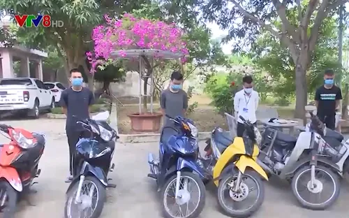 Nghệ An: Triệt xóa 2 nhóm chuyên trộm cắp tài sản