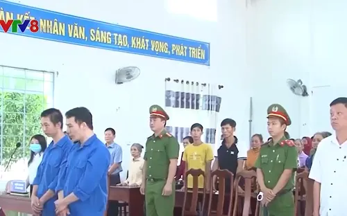 Kon Tum: Xét xử vụ án vi phạm lâm luật Vườn Quốc Gia Chư Mom Ray