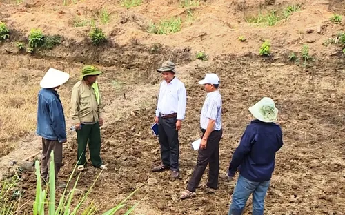 Già làng người Bana tích cực tuyên truyền bầu cử