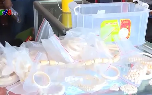 Đắk Lắk: Bắt đối tượng mua bán trang sức làm từ ngà voi