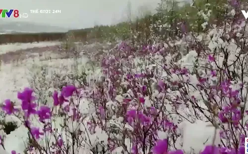 Tuyết rơi giữa mùa hè ở Trung Quốc