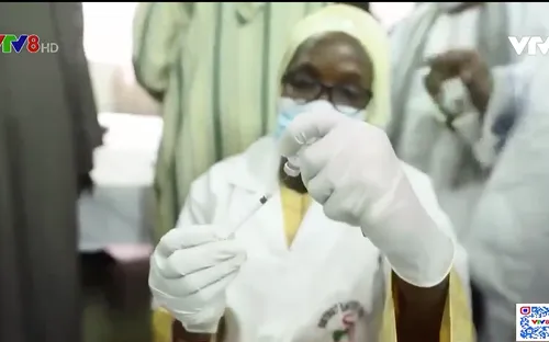 Giải Thưởng Pulitzer vinh danh tuyến tin về đại dịch COVID-19