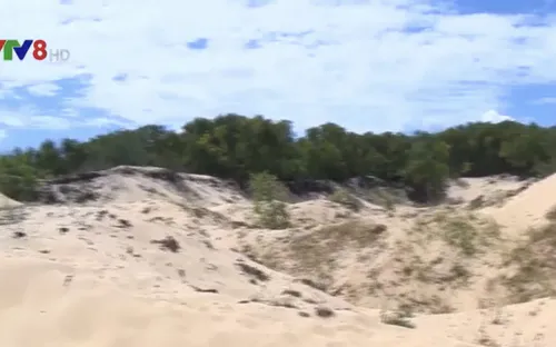 Vịnh Lăng Cô tiếp tục bi xâm hại do khai thác đất cát trái phép