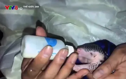 Một người Việt Nam được vinh danh anh hùng môi trường