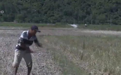 Thiếu nước sản xuất vụ hè thu vì hồ chứa ngăn dòng