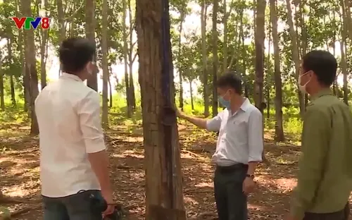 Hàng trăm lao động bị nợ bảo hiểm xã hội tại Đắk Nông