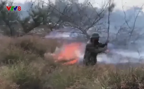 Nguy cơ cháy rừng do nắng nóng kéo dài