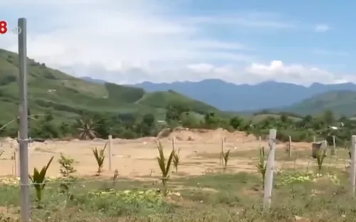 Ngăn chặn cơn sốt san ủi, phân lô đất nền trái phép