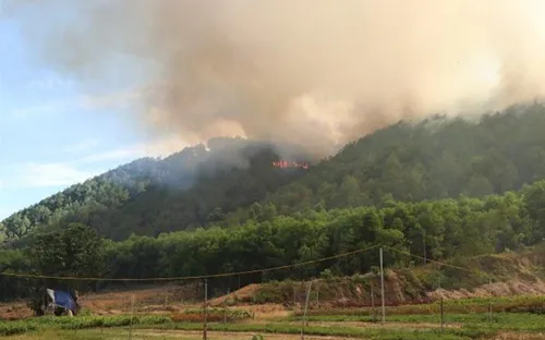 Nguy cơ cháy rừng ở mức cao do nắng nóng