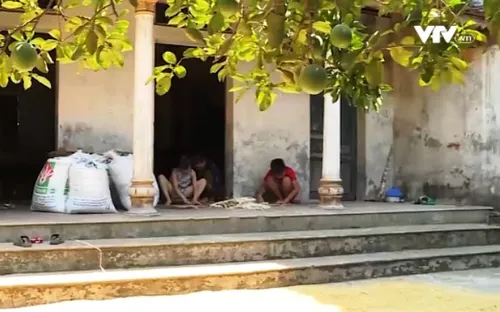 Cặp lá yêu thương: Người trụ cột nhỏ bé của gia đình