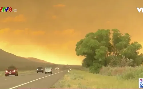 Cháy rừng ở Mỹ sắp vượt tầm kiểm soát